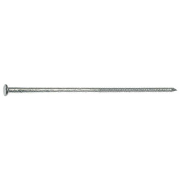 Vortex Common Nail, 6 in L, 60D VO1647537